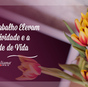 Flores no Trabalho Elevam a Produtividade e a Qualidade de Vida